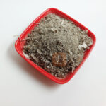Horn Meal Fertilizer - Image 3